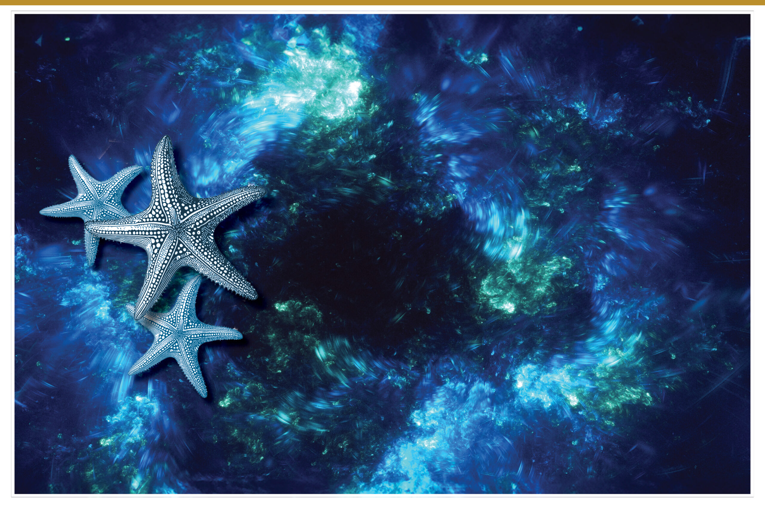 Join Us for a Night of Celebration & Impact at our 50th Anniversary Starfish Gala