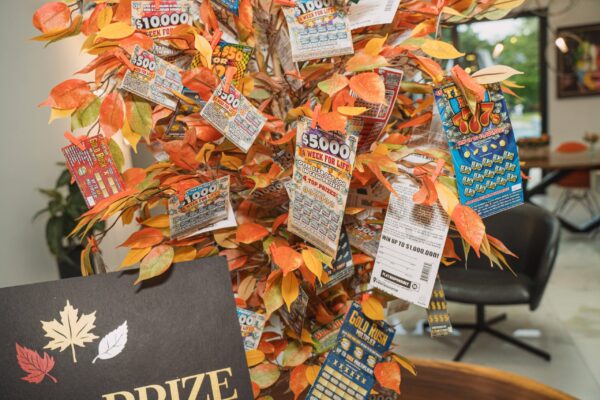 LeavesofChange2025_WID_13