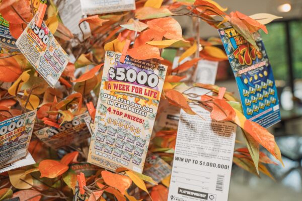 LeavesofChange2025_WID_14