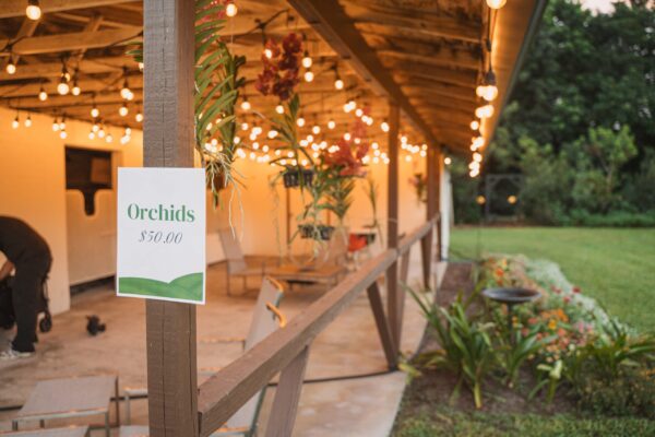 LeavesofChange2025_WID_63