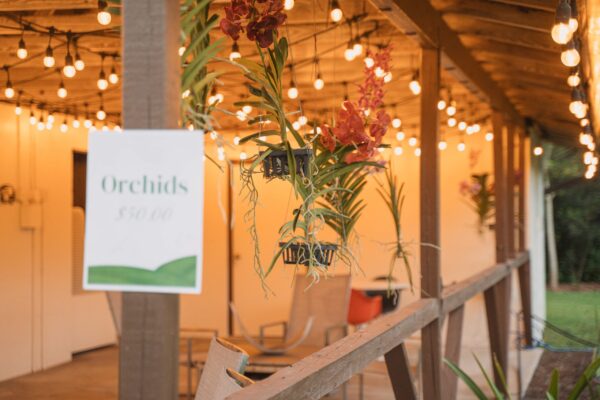 LeavesofChange2025_WID_64