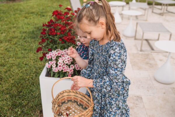 LeavesofChange2025_WID_76