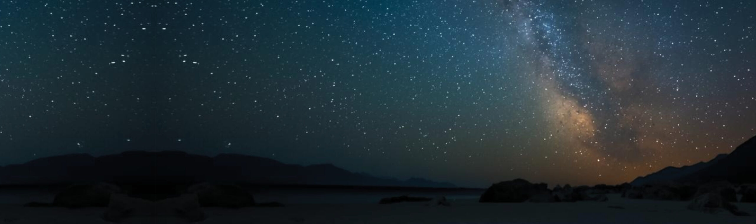 19th Annual Starfish Evening of Impact,    Saturday, April 25, 2026